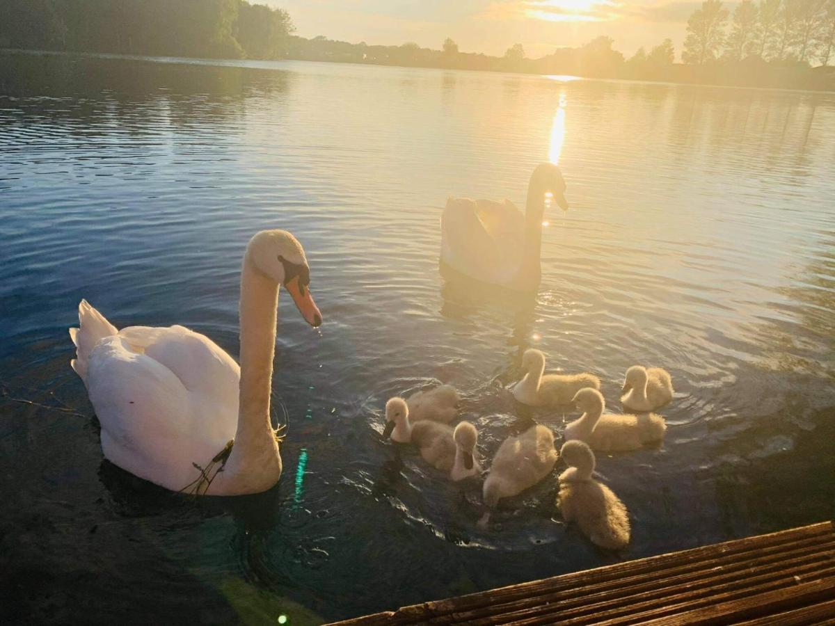 Lakeside Retreat 3 With Hot Tub, Private Fishing Peg Situated At Tattershall Lakes Country Park מראה חיצוני תמונה